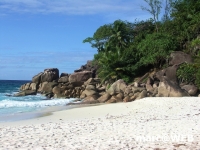Seychellen (46)