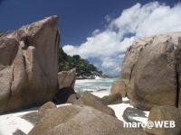 Seychellen (64).JPG