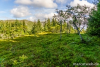 smordalskammen-01