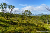 smordalskammen-04
