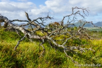 smordalskammen-06