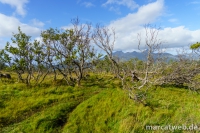smordalskammen-08