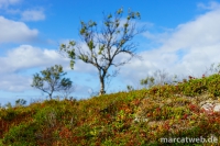 smordalskammen-09