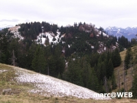 Spieser (12).JPG