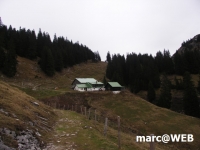 Spieser (14).JPG