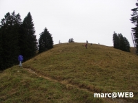 Spieser (9).JPG