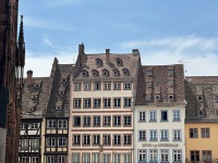 IMG_0655