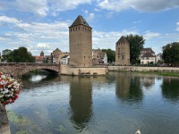 IMG_5481