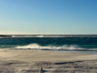 20251123-IMG_2590