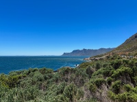 20251124-IMG_2595