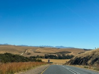20251125-IMG_1509