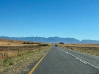 20251125-IMG_1511