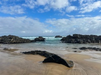 20251126-IMG_2703