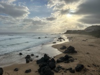 20251126-IMG_2718
