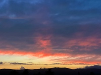 20251128-IMG_2751