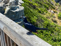 20251129-IMG_2757