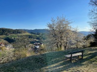20220416-185422-IMG_5796