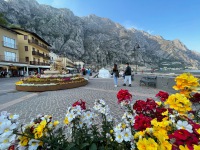 20220419-174402-IMG_5890