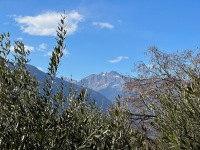 20230305-154132-IMG_9261