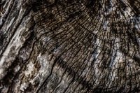 20230306-122020-DSC03874