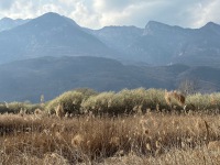 20230308-143352-IMG_9316