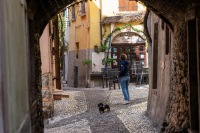 20230309-131243-DSC03954