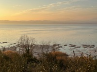 20230309-174613-IMG_9362