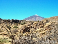 Teide