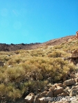 Teide__12_