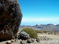 Teide__14_