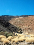 Teide__17_