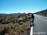 Teide__24_