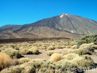 Teide__25_