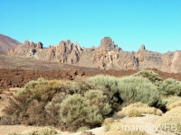 Teide__26_