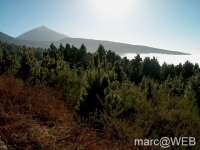 Teide__30_