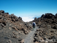 Teide__5_