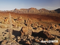 PICT0220_bearbeitet-1