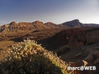 PICT0226_bearbeitet-1