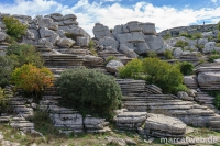 Torcal-de-Antequera-05