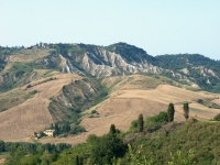 IM001294
