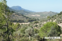 tramuntana 1