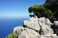tramuntana 12