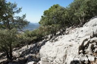 tramuntana 17