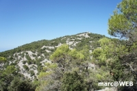 tramuntana 22