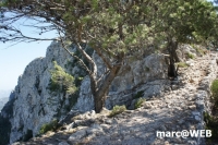 tramuntana 23