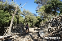 tramuntana 3