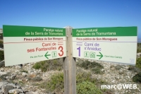 tramuntana 33
