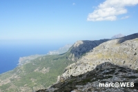 tramuntana 36