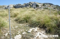 tramuntana 39