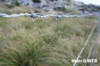 tramuntana 40